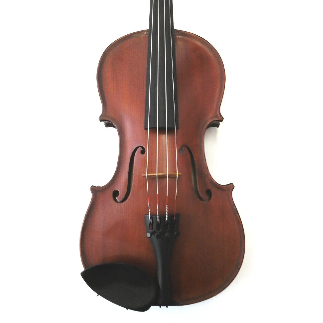 Gliga III Series Violin Outfit Full Size Professionally Set Up - with Opal Titan Strings