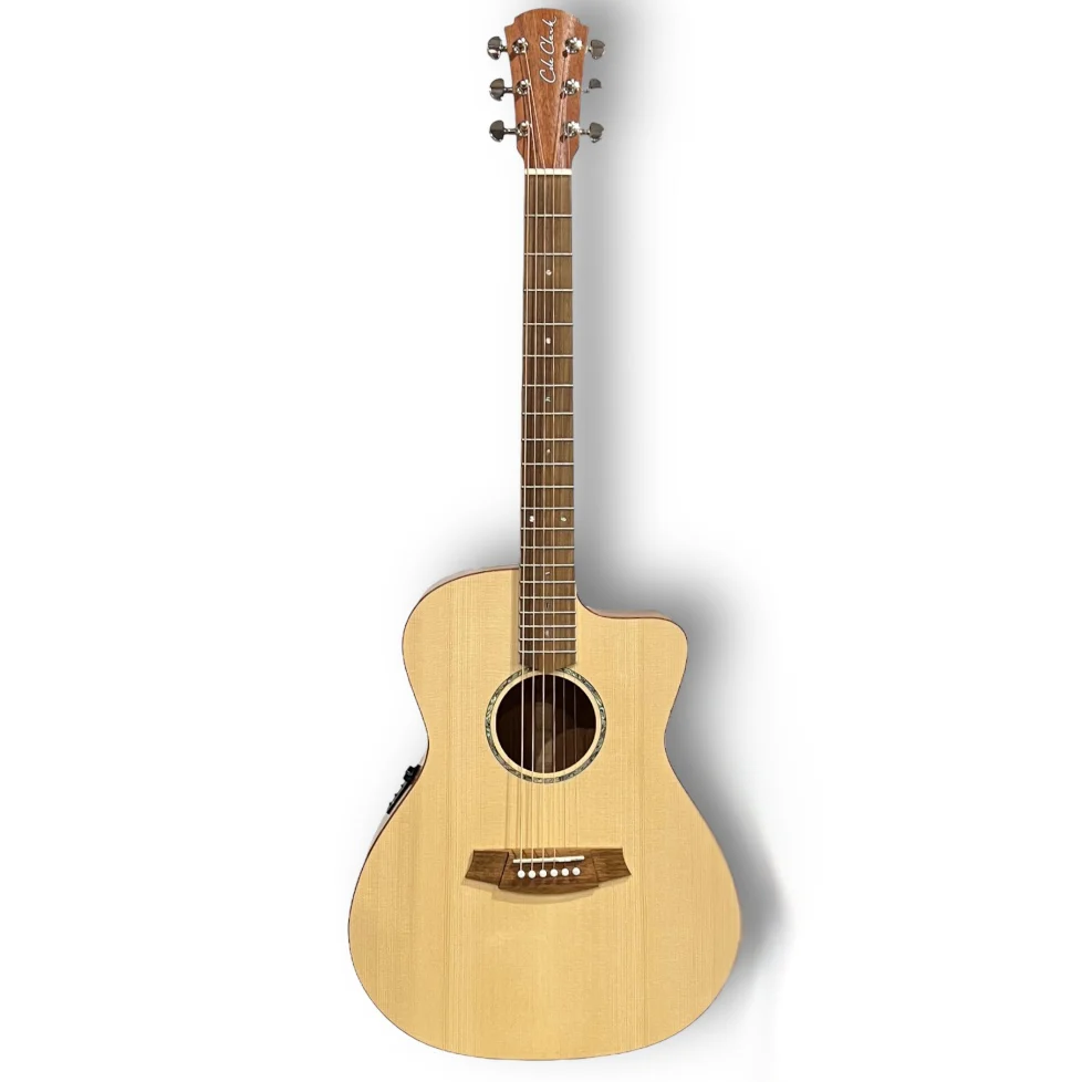 Cole Clark Studio Series AN1EC - Spruce Top, Mahogany Back and Sides
