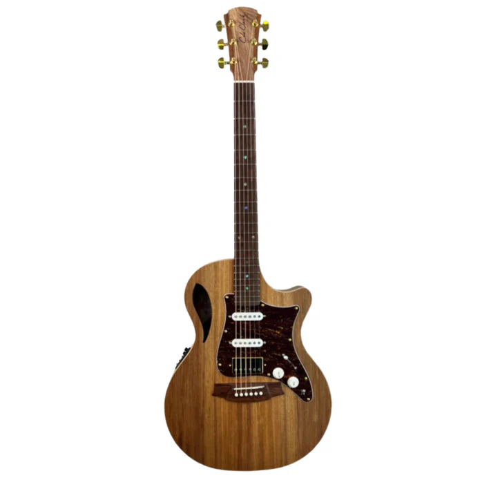 Cole Clark TRUE HYBRID Thinline, All Blackwood, cutaway, Cole Clark Balanced Hum Sing Sing Blk Chrome