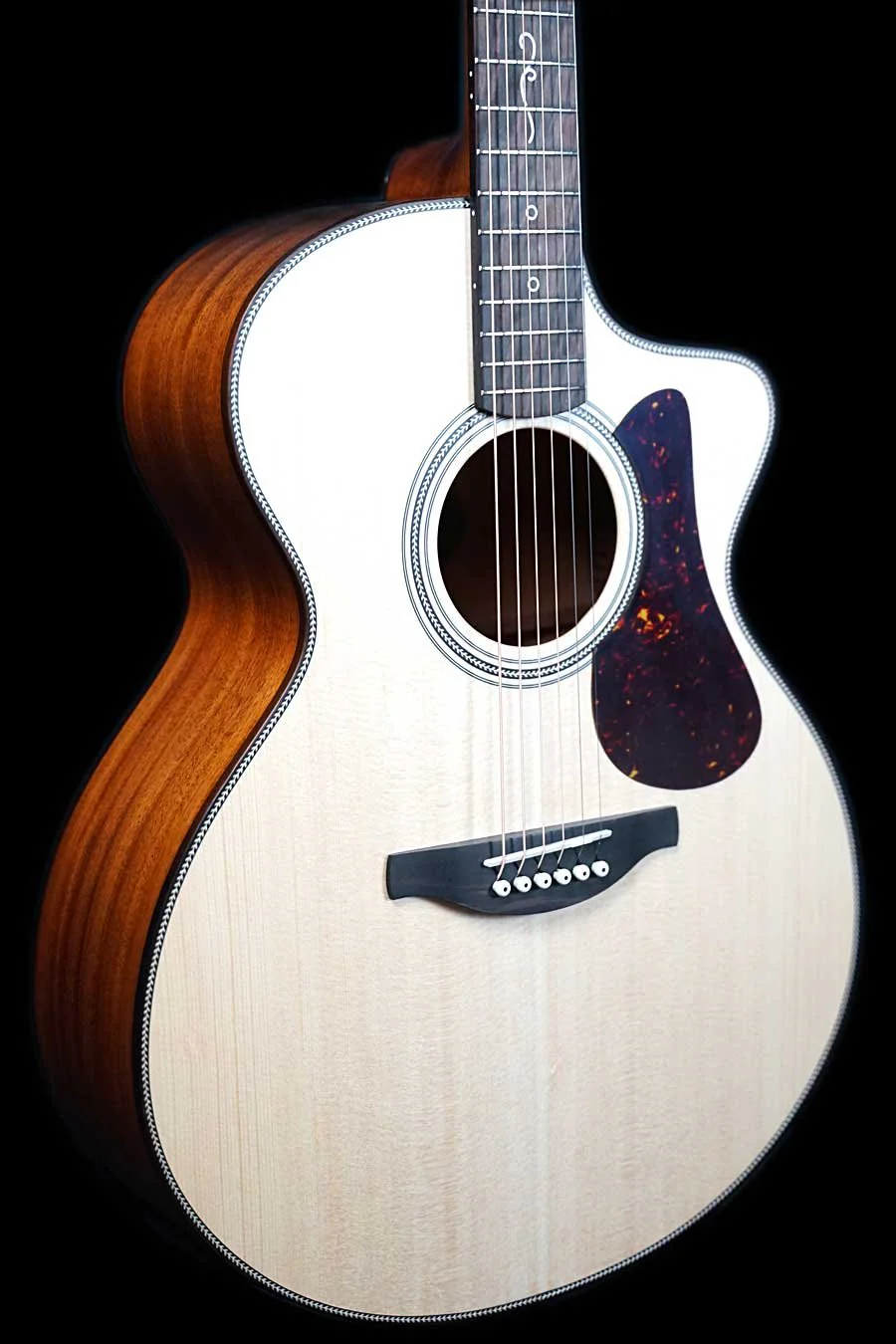 Fenech True Tone GAc - All Solid Spruce Top, Mahogany Back & Sides with Pickup & TKL Flight Case