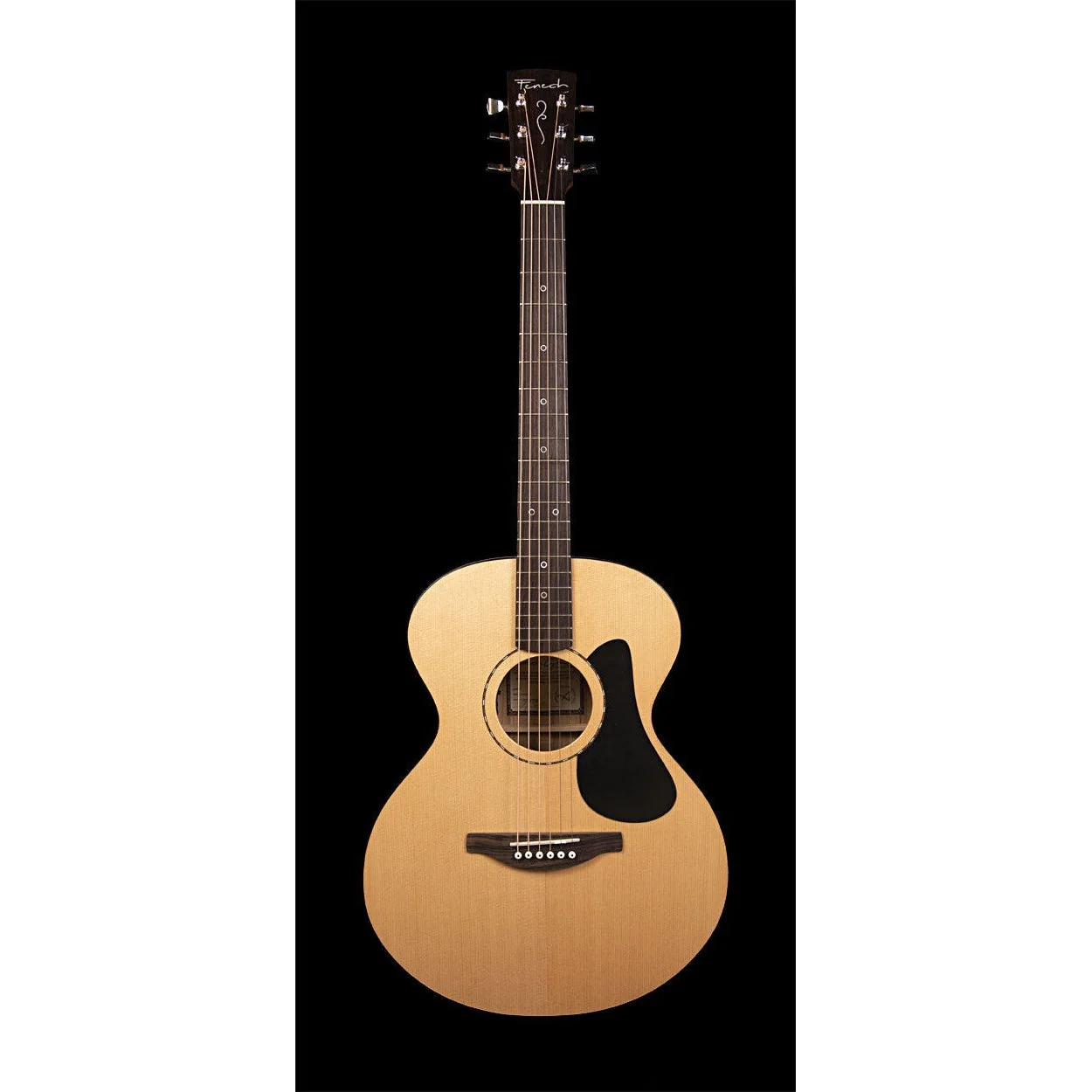 Fenech Vt Auditorium Aa Grade Camphor Back & Sides Aa Grade Sitka Spruce Top