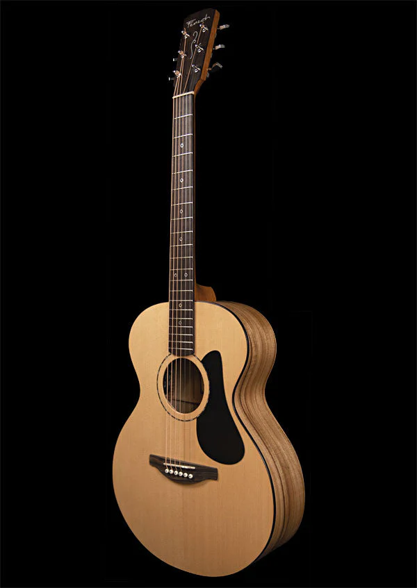 Fenech Vt Auditorium Aa Grade Camphor Back & Sides Aa Grade Sitka Spruce Top - Image 2