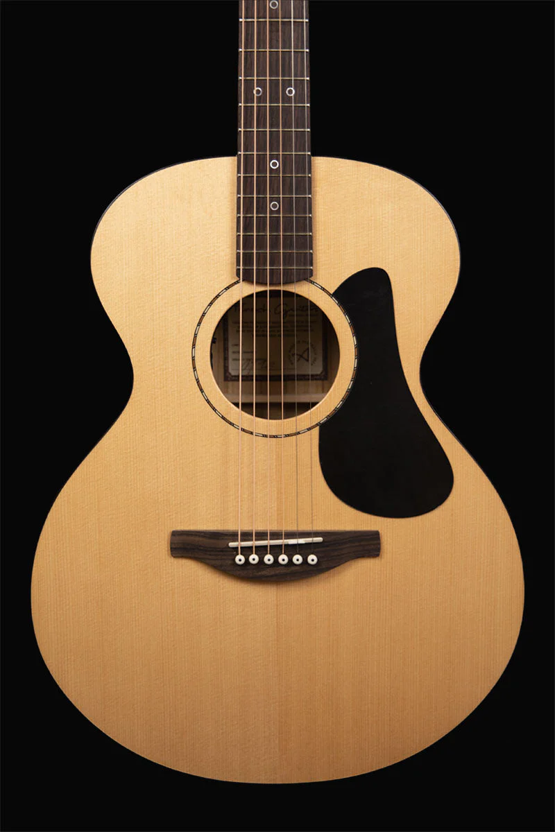 Fenech Vt Auditorium Aa Grade Camphor Back & Sides Aa Grade Sitka Spruce Top - Image 6