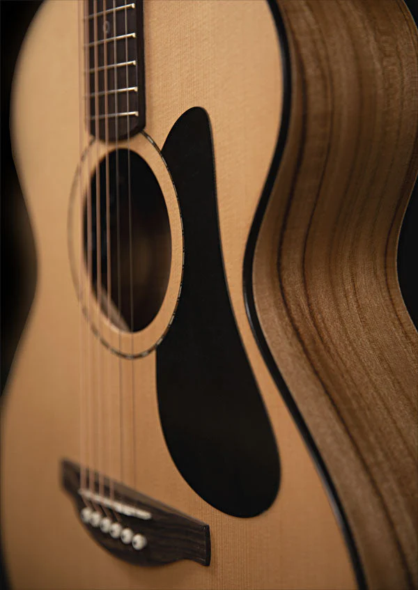 Fenech Vt Auditorium Aa Grade Camphor Back & Sides Aa Grade Sitka Spruce Top - Image 7