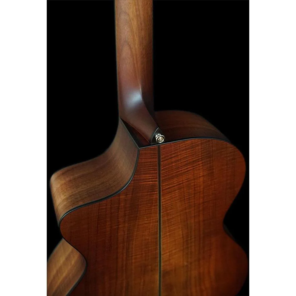 Fenech Vt Professional Grand Auditorium Cutaway Aaa Spruce Top Blackwood Back & Sides + Sunset Burst Full - Image 6