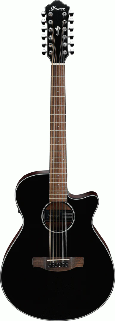 Ibanez AEG5012 BKH Acoustic Guitar