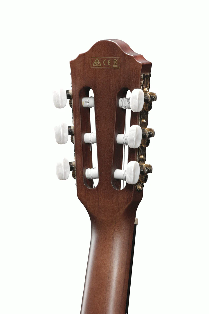 Ibanez AEG50N NT Acoustic Guitar - Image 4