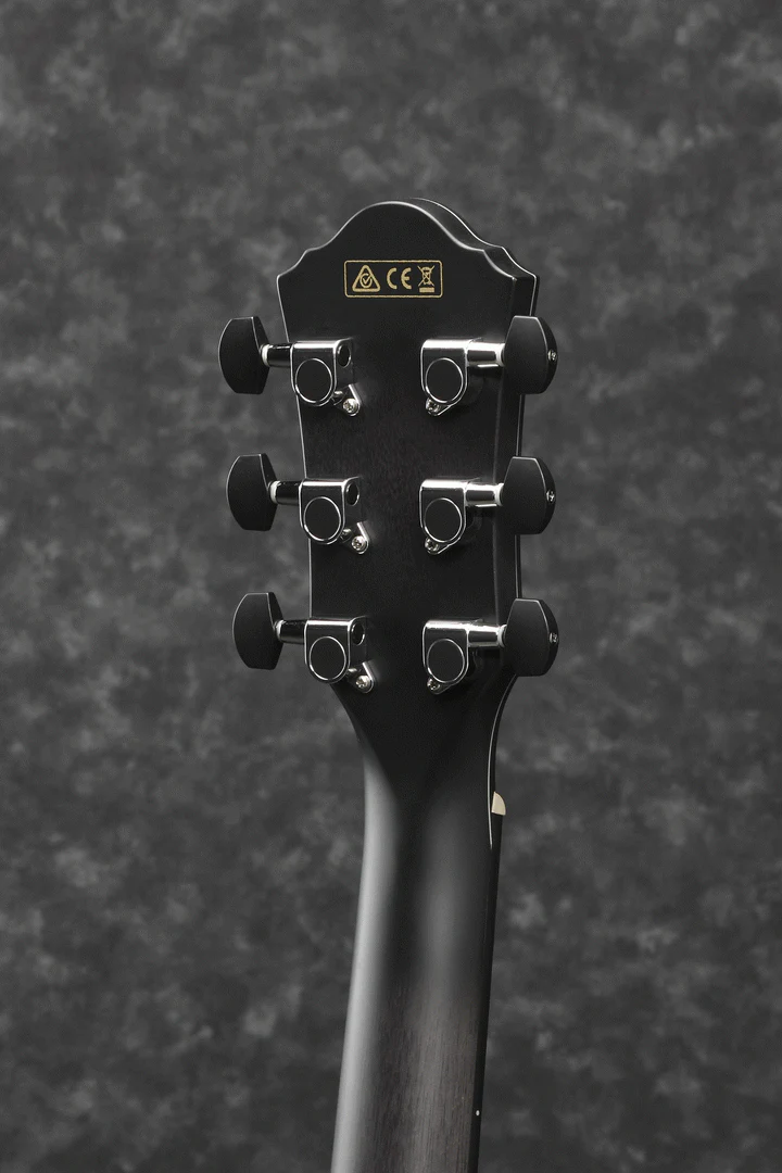 Ibanez AEWC400 TKS Electric Guitar - Image 4
