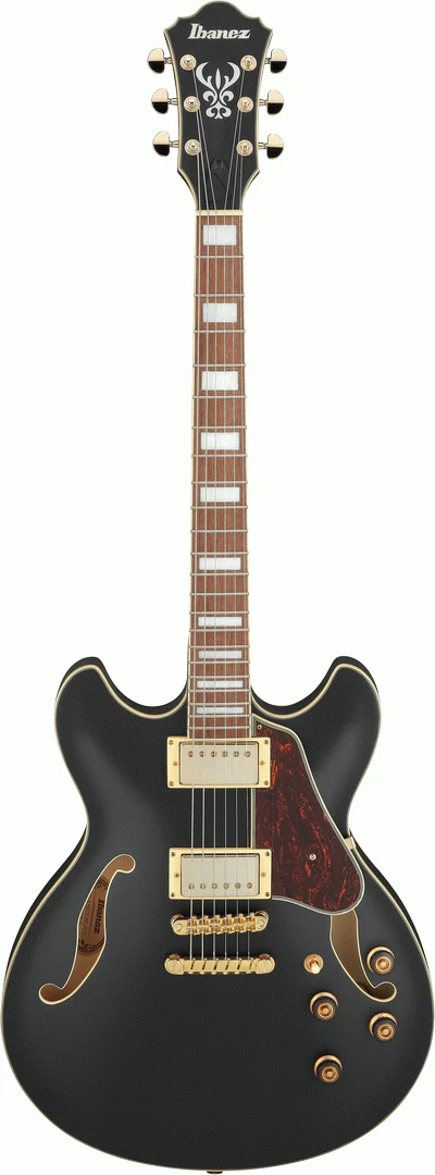Ibanez AS73G BKF Electric Guitar