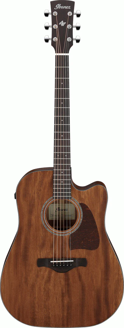 Ibanez AW1040CE Open Pore Natural Acoutic Guitar All Solid