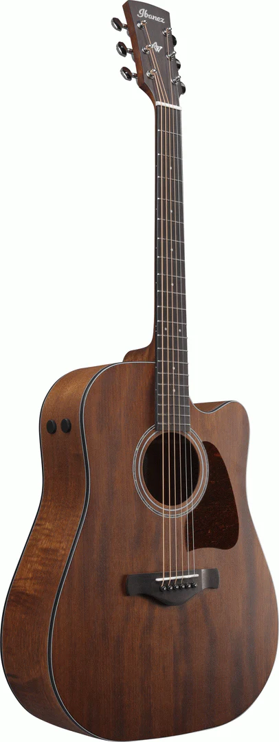 Ibanez AW1040CE Open Pore Natural Acoutic Guitar All Solid - Image 3