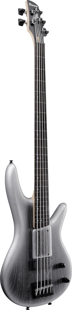 Ibanez GWB25THSWF 5 String Electric Bass Guitar Silver Wave Burst Flat