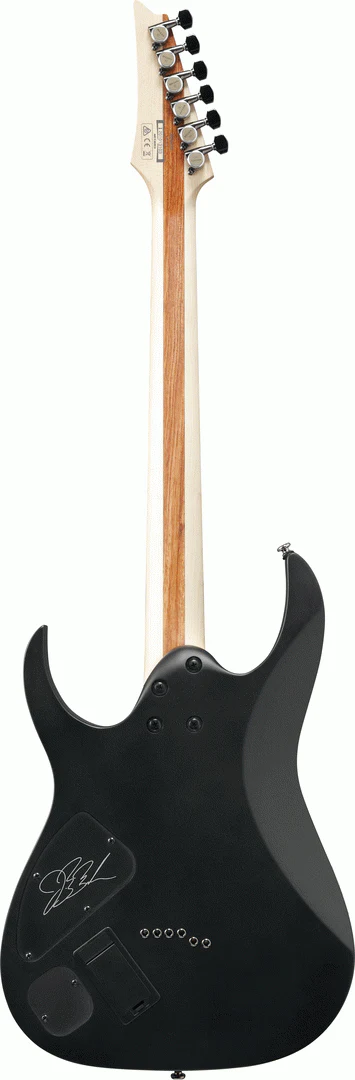 Ibanez JBBM30 Black Flat JB Brubaker Signature Model - Image 2