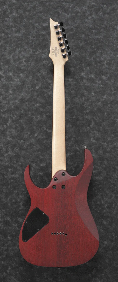 Ibanez RG421PB CHF Electric Guitar - Image 2