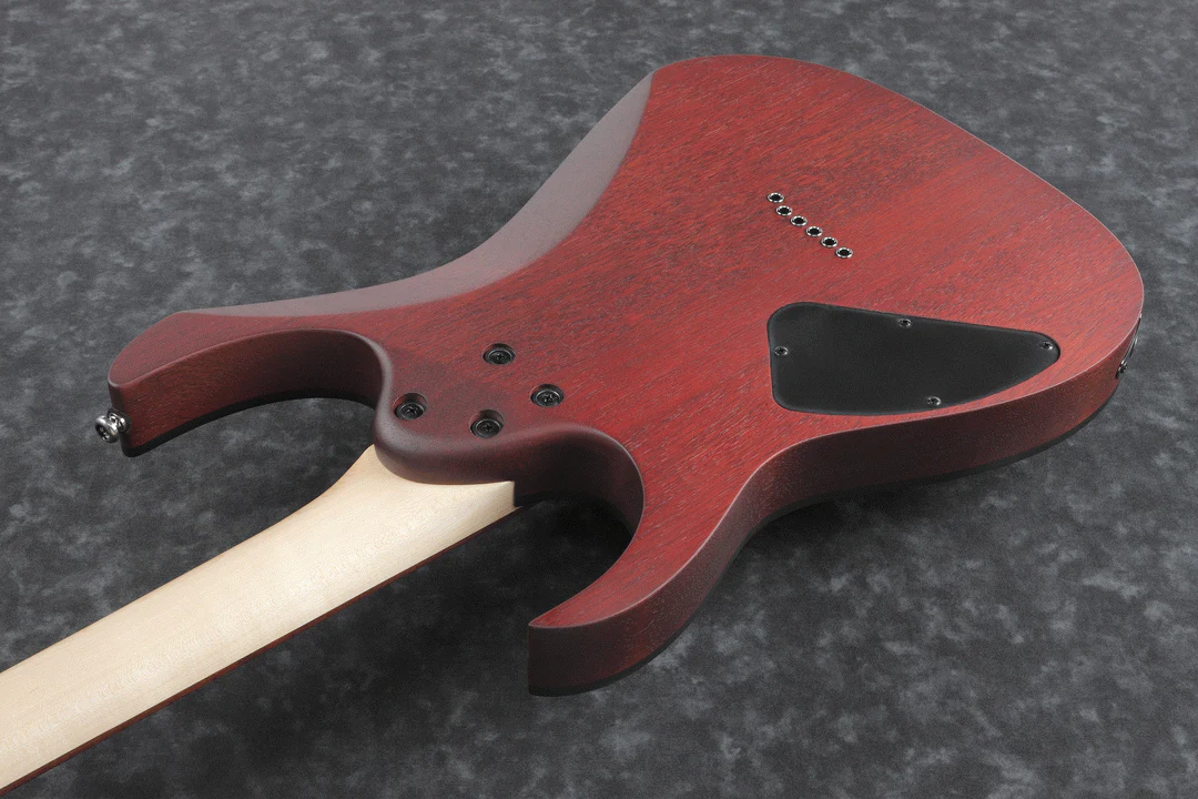 Ibanez RG421PB CHF Electric Guitar - Image 3