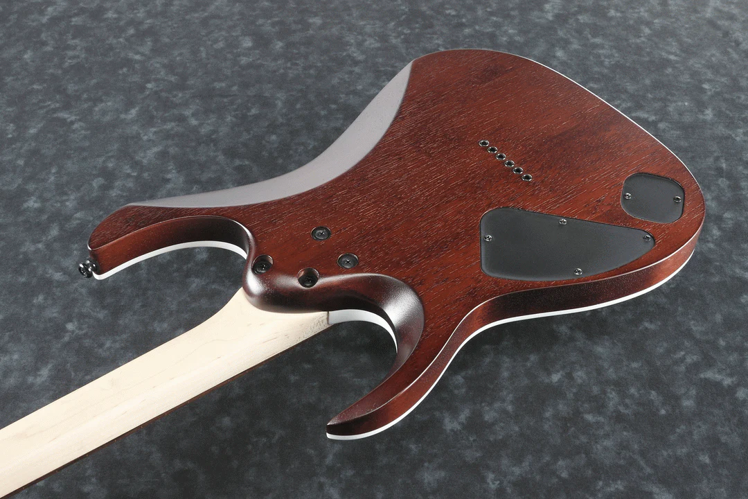 Ibanez RGA42FM DEF Electric Guitar - Image 2