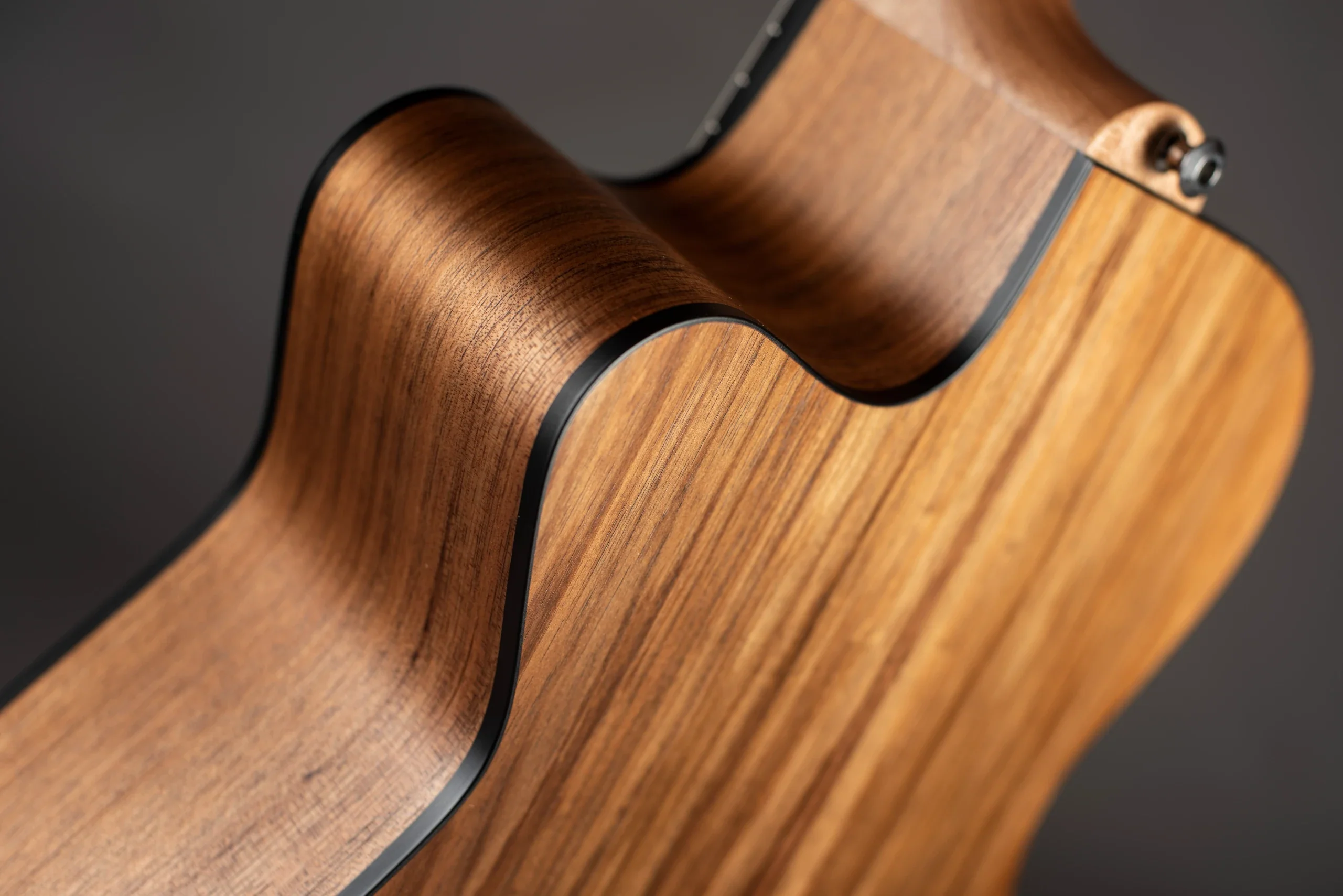 Maton Blackwood Series EBW808C - Blackwood Top, Blackwood Back & Sides - AP5 Pro Pickup - 808 with Cutaway - Image 9