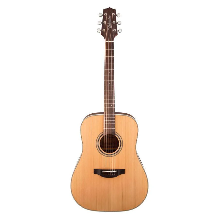 Takamine G20 Series Dreadnought Acoustic Guitar In Natural Satin Finish