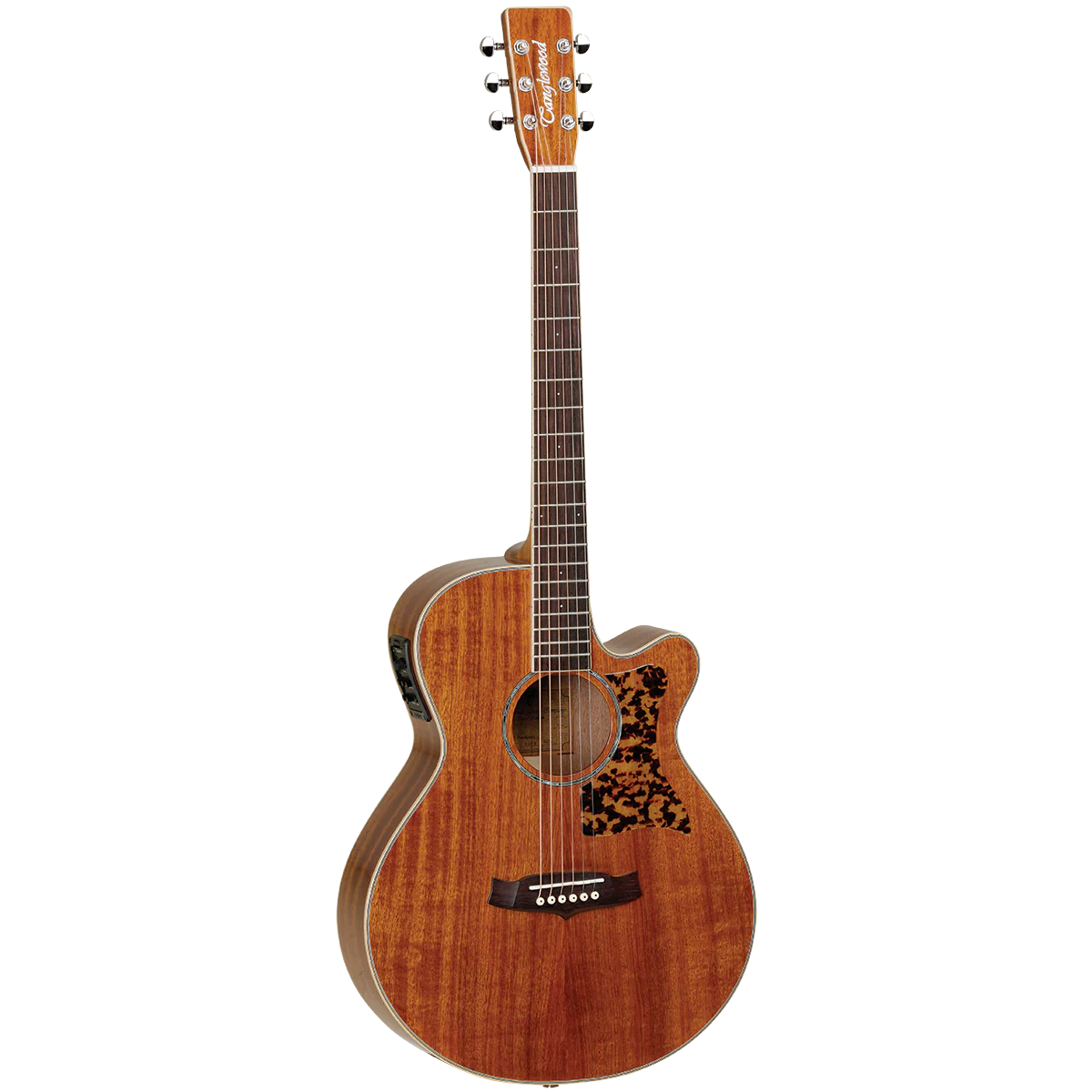 Tanglewood 47ASE Sundance Performance Pro Super Folk with ABS Case