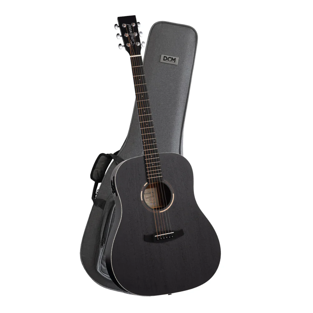 Tanglewood Blackbird Sloped Shoulder Dreadnought A/E Guitar Pack with DCM Premium Case
