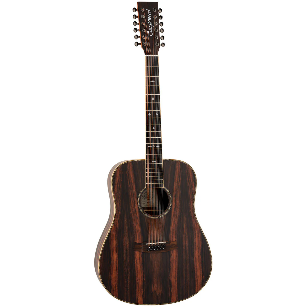 Tanglewood Reunion Pro All Ebony Solid Top 12-String Dreadnought