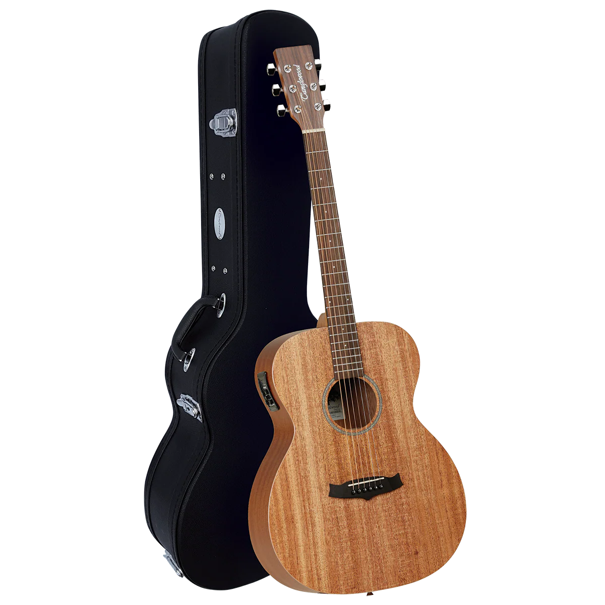 Tanglewood TW2E Winterleaf Orchestra with Case
