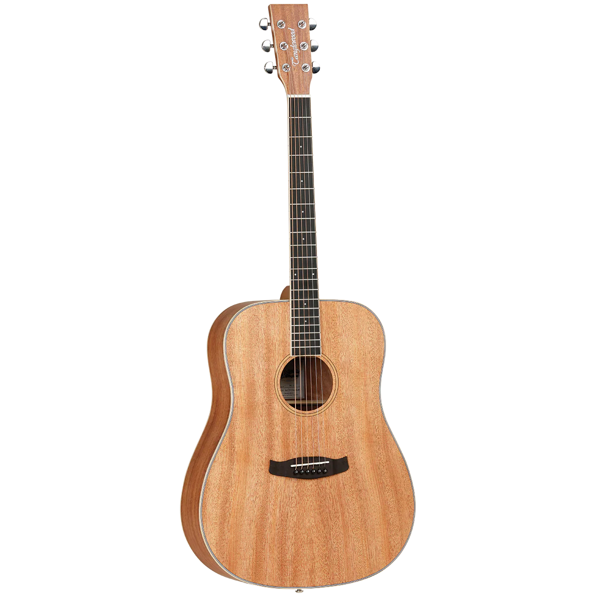 Tanglewood TWUD Union Dreadnought Solid Top Acoustic