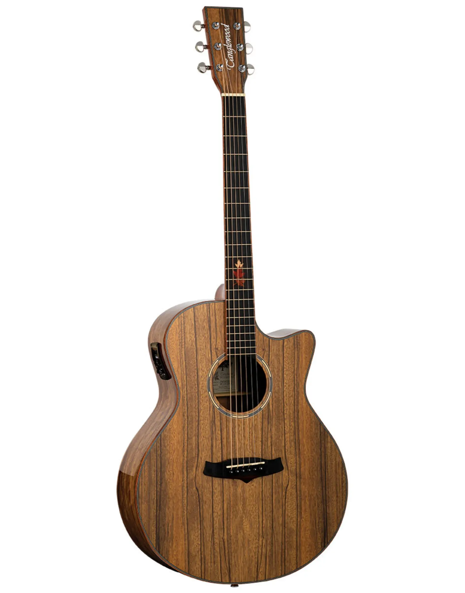Tanglewood Winterleaf Exotic Superfolk Solid Top Venetian Cutaway Electric Guitar all Black Walnut
