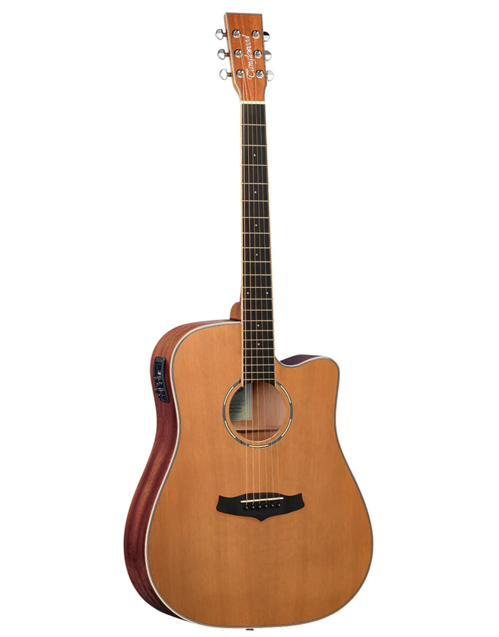 Tanglewood Winterleaf Pro Dreadnought Cutaway Electric Acoustic Satin Finish Guitar