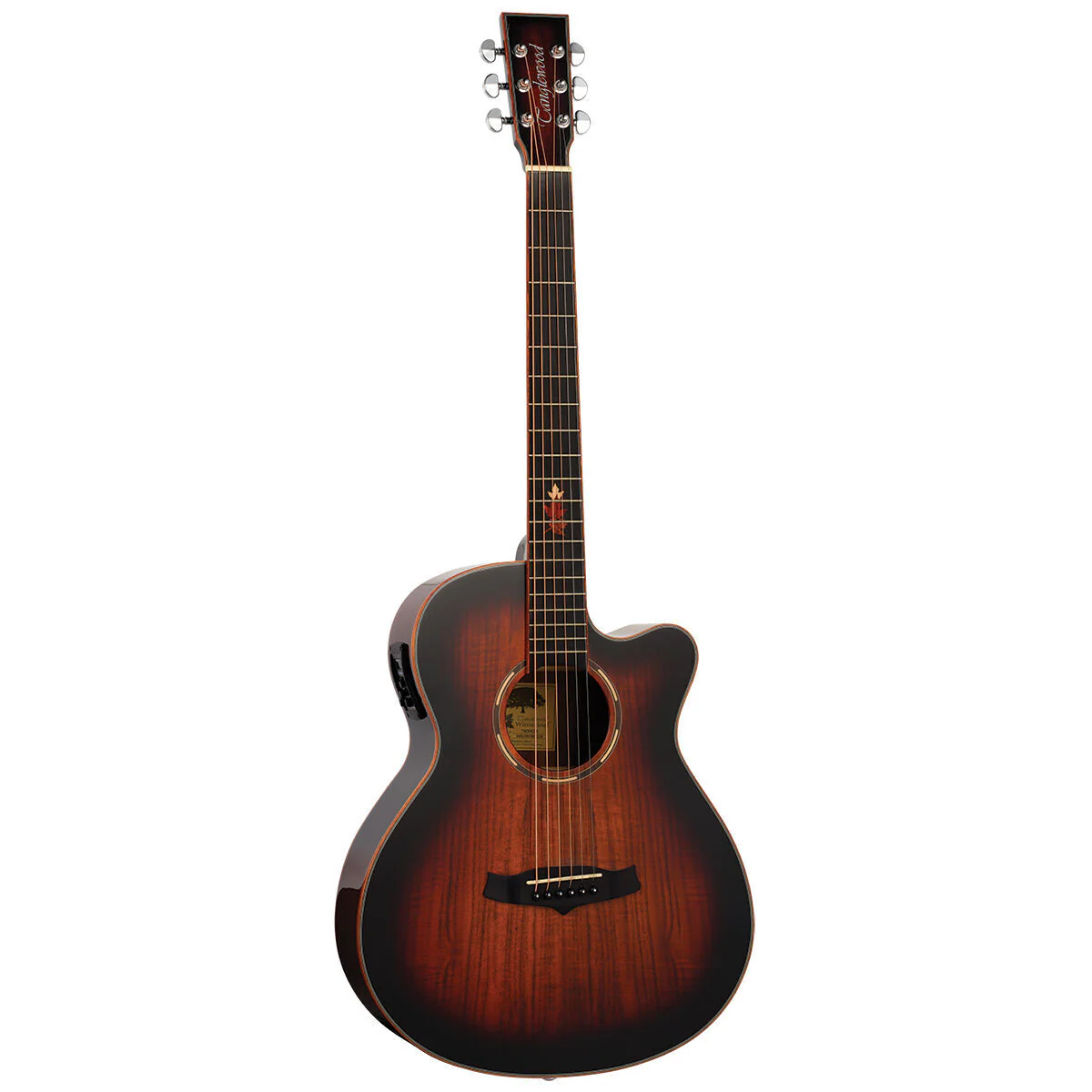 Tanglewood Winterleaf Pro Exotic Super Folk Cutaway Electric Koa