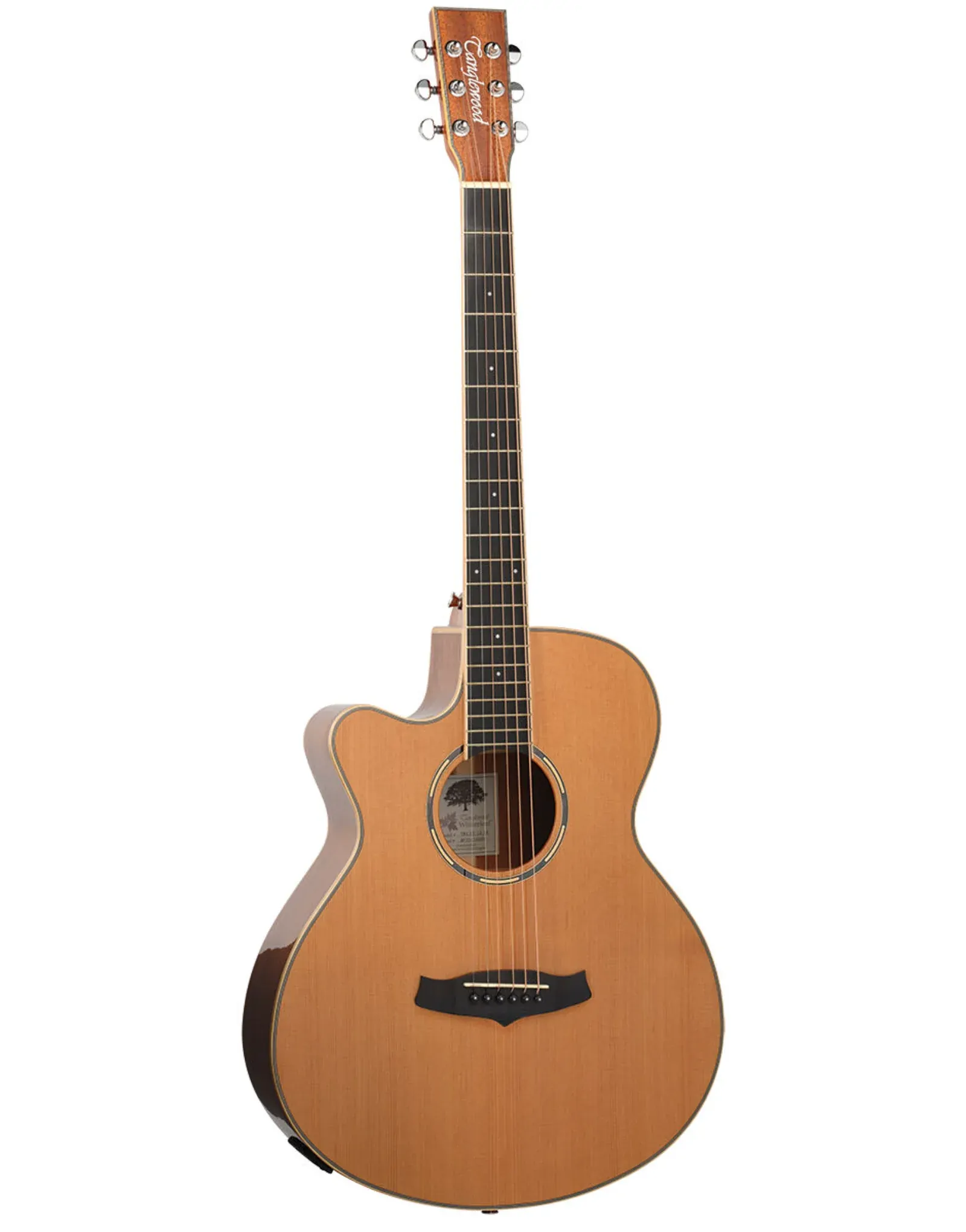 Tanglewood Winterleaf Pro Super Folk Cutaway Electric Acoustic Gloss Finish Guitar