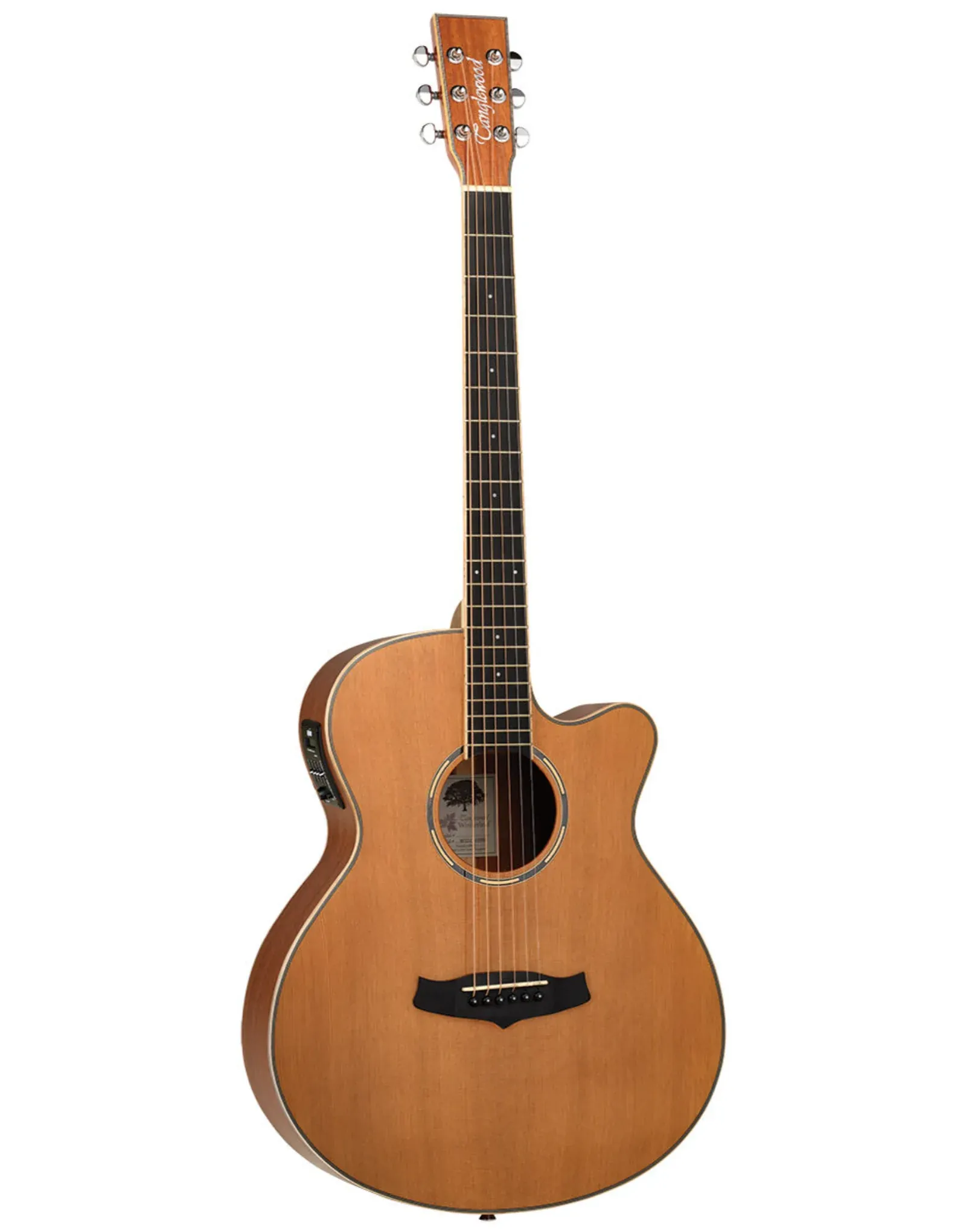 Tanglewood Winterleaf Pro Super Folk Cutaway Electric Acoustic Satin Finish Guitar