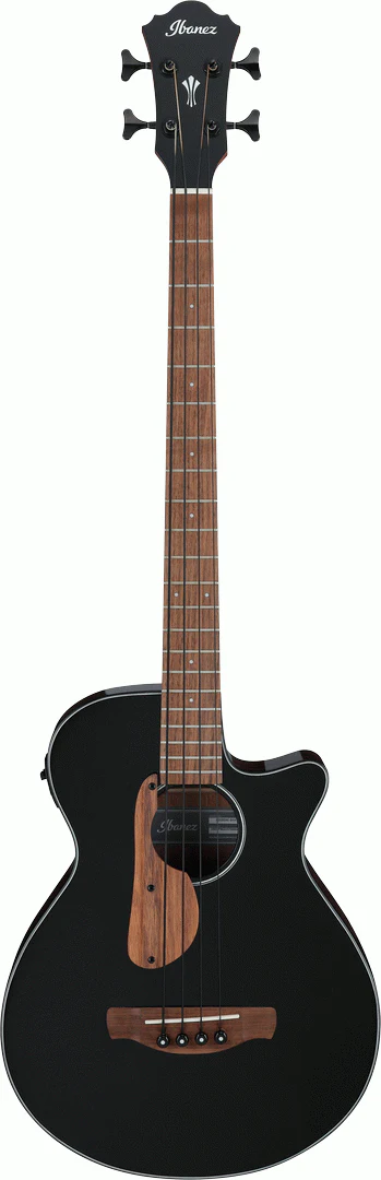 Ibanez AEGB24E BKH Acoustic Guitar