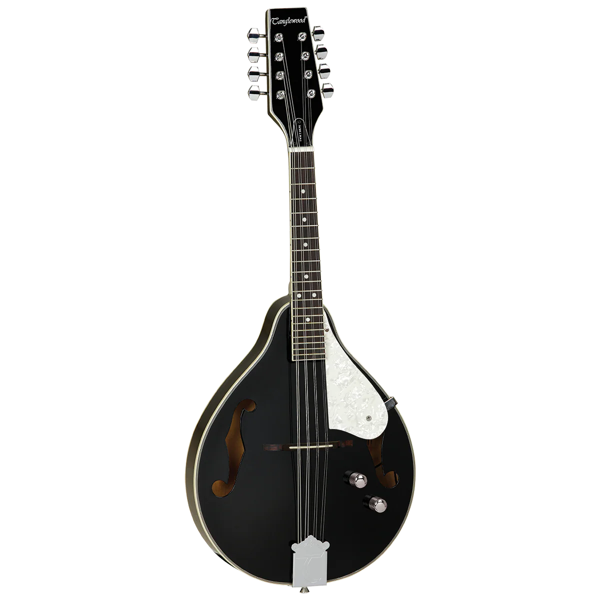 Union Series Mandolin Black With Pickup